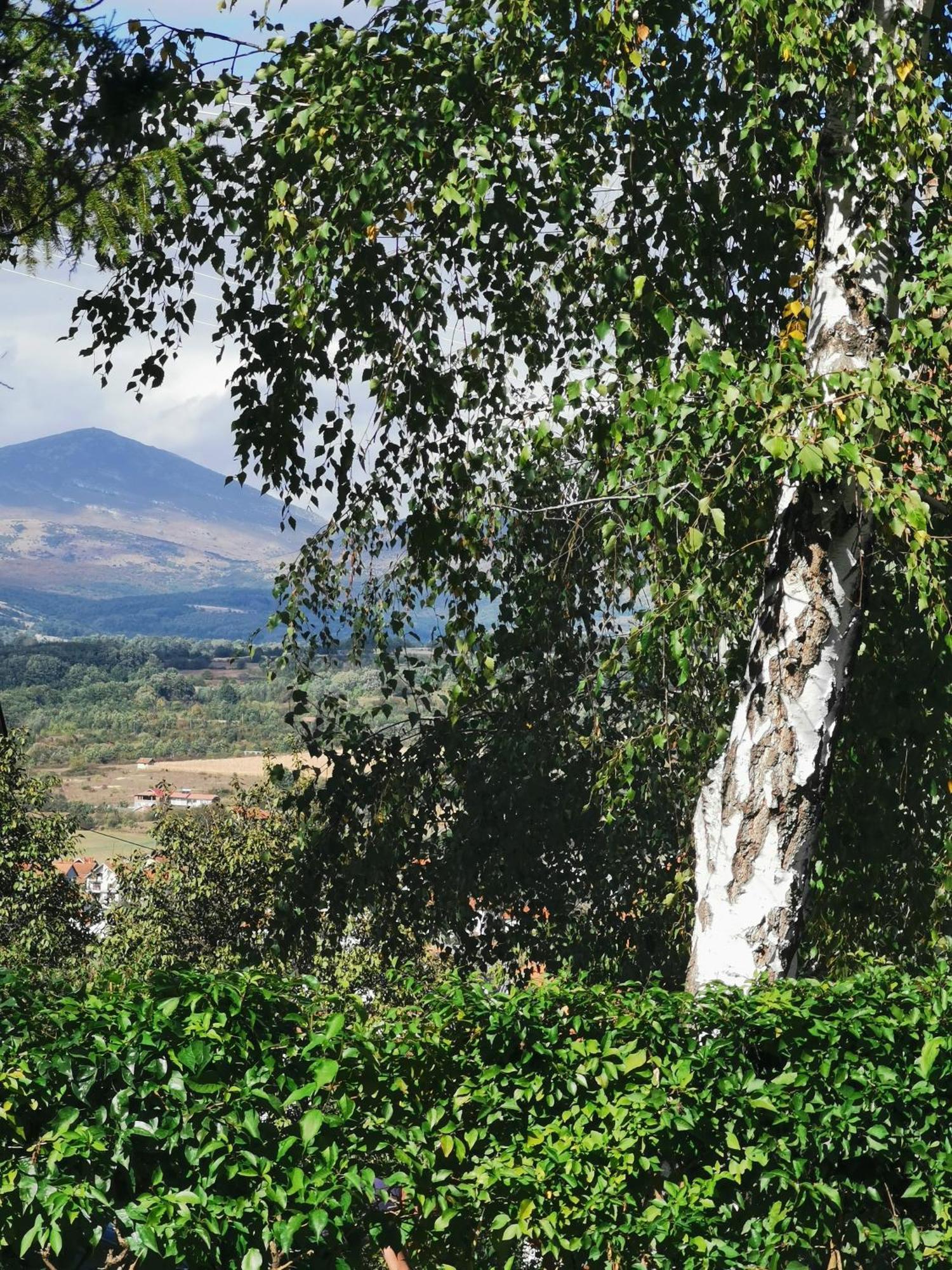 Vila Breza Soko Banja Habitación foto